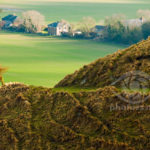 South Downs in winter. Commended in LPOTY 2010