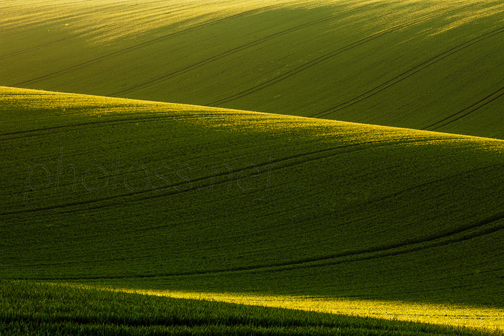 Autumn in the West Sussex countryside. Depth in landscape photographs.