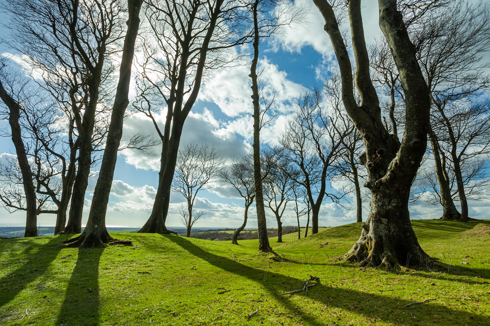 Sussex Landscape Photography Workshops South Downs. Freelance Photographer Brighton.