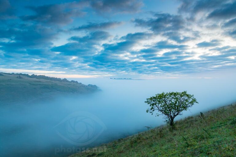 Misty Dawn at Devil's Dyke. Slawek Staszczuk photography.