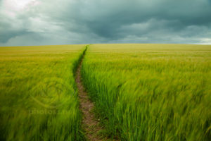 Sussex Landscape Photography Workshops South Downs. Freelance Photographer Brighton.