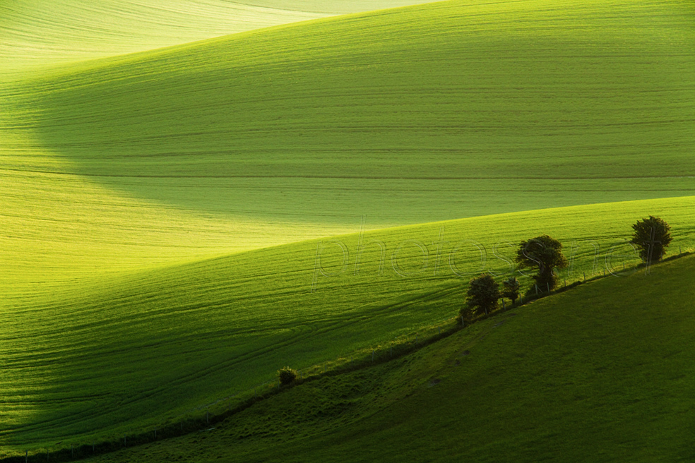 Spring morning on the South Downs near Brighton - how to approach composition in landscape photography.