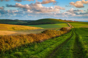 South Downs Photography. Professional Photographer in Sussex.