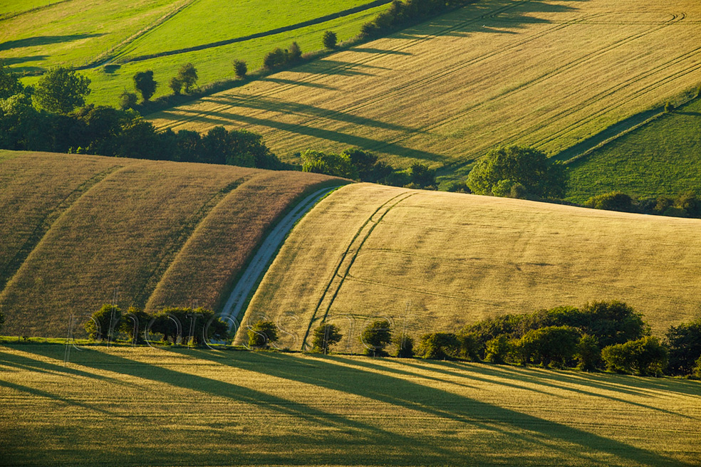 Autumn in the West Sussex countryside. Depth in landscape photographs.