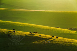 Telephoto landscape from conception to editing. South Downs.