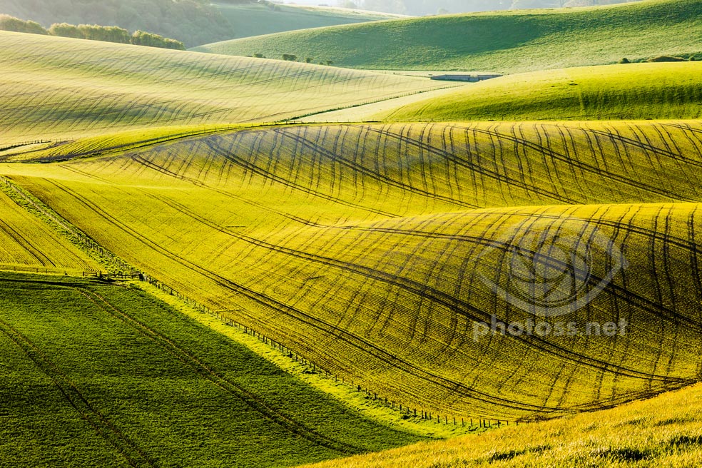 May morning on the South Downs in West Sussex.