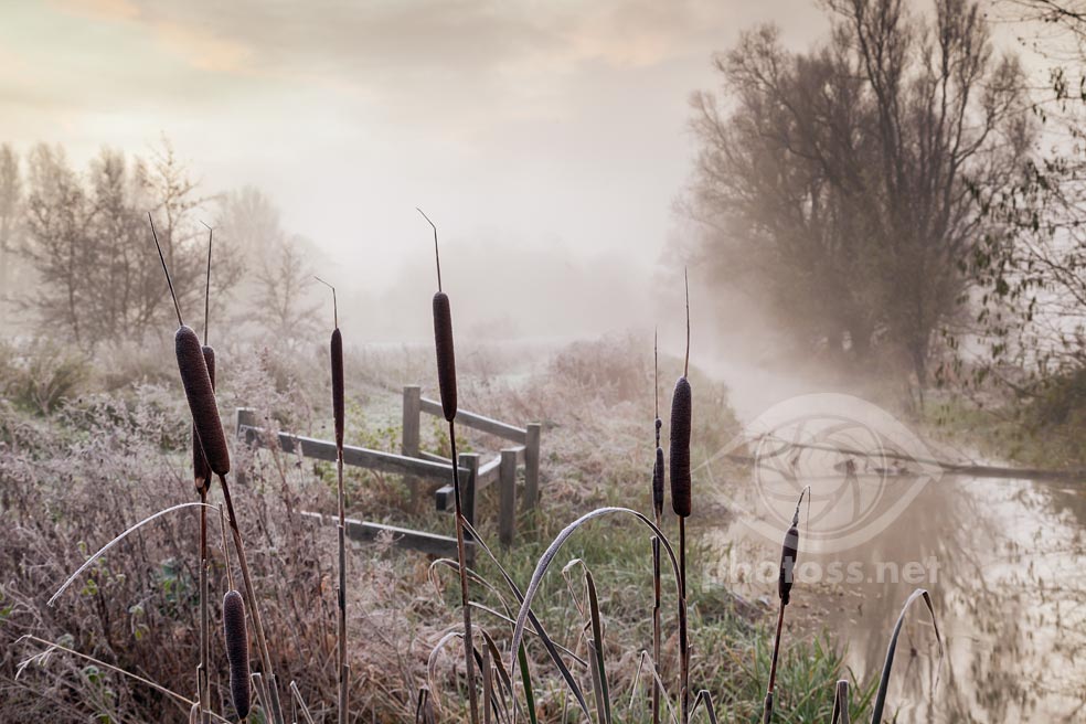 Autumn in the West Sussex countryside. Depth in landscape photographs.