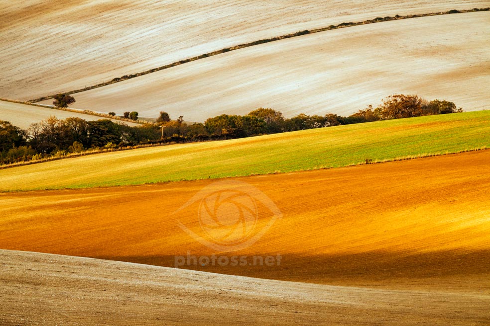 South Downs near Falmer.