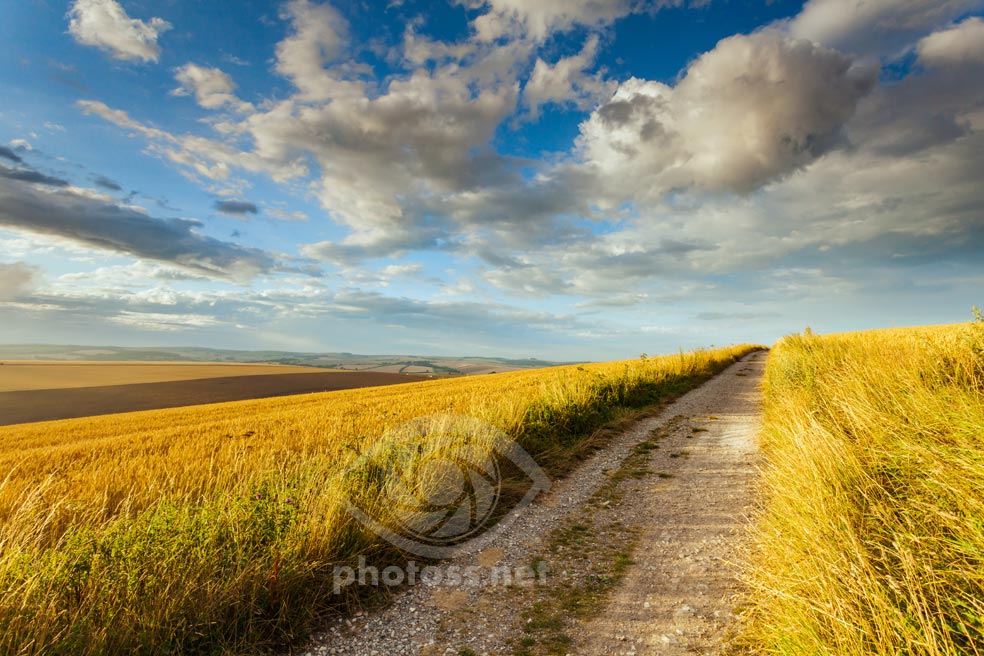 South Downs near Brighton.