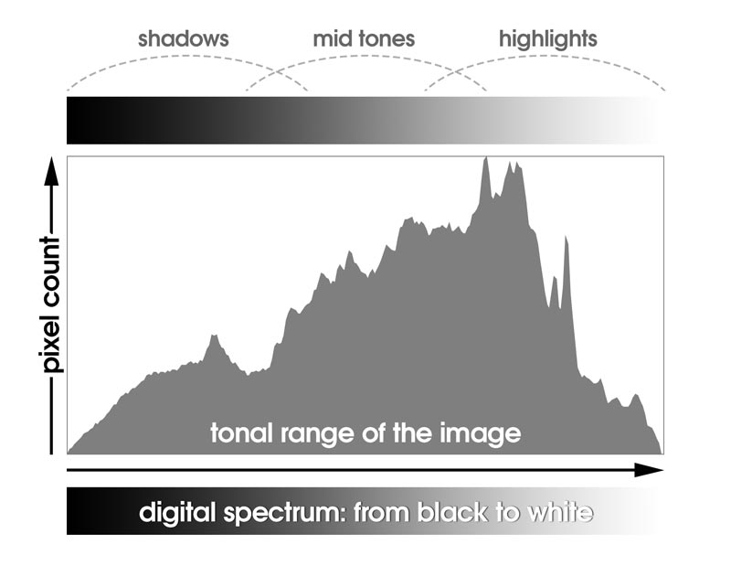 Anatomy of a digital image histogram