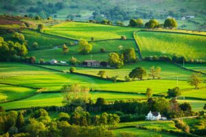 Spring evening on the Yorkshire Moors.
