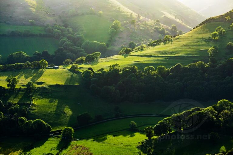 Spring evening on Shropshire Hills.