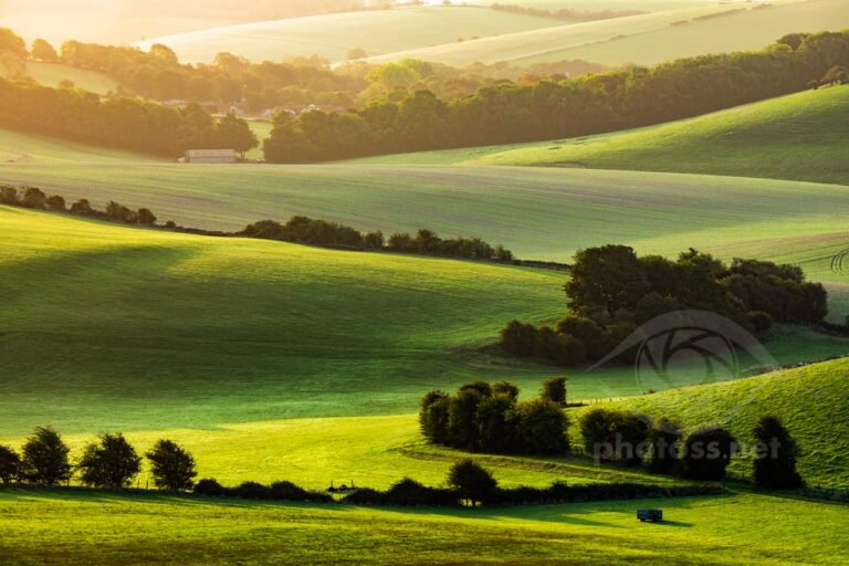 September sunrise on the South Downs.