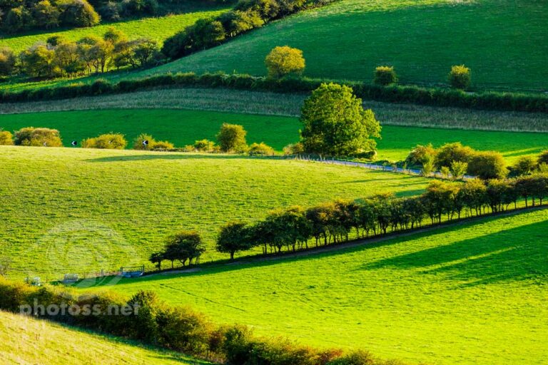 Late summer on the South Downs - by Slawek Staszczuk Photography.