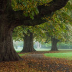 Henrietta Park Bath. Landscape Photography by Slawek Staszczuk.