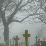 Brighton Cemetery Fog. Professional Landscape photographer in Sussex.