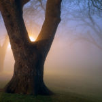 Queen's Park. Brighton based Freelance Photographer.