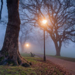 Queen's Park. Brighton Landscape Photographer.