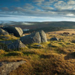 Autumn in Dartmoor. Slawek Staszczuk Photography.