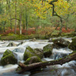 Autumn at Dewerstone. Slawek Staszczuk Photography.
