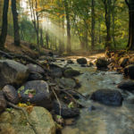 Autumn in Gdynia. Slawek Staszczuk Photography.