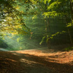 Autumn in Gdynia. Slawek Staszczuk Photography.