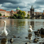 Vltava in Prague. Photography Workshops Slawek Staszczuk.