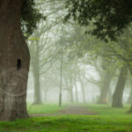 Southwick in Fog. Slawek Staszczuk Photography.