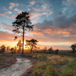 Camera Club Speaker. Freelance Photographer Brighton.