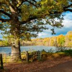 Sussex Landscape Photography. High Weald Autumn.