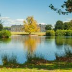 Petworth Park. Sussex Landscape Photography.
