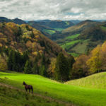 Jura Mountains, Switzerland. Slawek Staszczuk Photography.