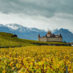 Chateau d'Aigle. Slawek Staszczuk Photography.
