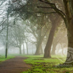 Southwick West Sussex. Landscape Photography Slawek Staszczuk.