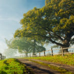 Sussex Countryside Autumn. Freelance Photographer Brighton.