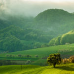 Spring morning in Jura Mountains, Switzerland. Slawek Staszczuk Photography.