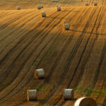 Sussex Landscape Photography Workshops South Downs. Freelance Photographer Brighton.