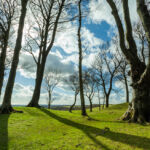 Sussex Landscape Photography Workshops South Downs. Freelance Photographer Brighton.