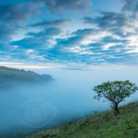 Misty Dawn at Devil's Dyke. Slawek Staszczuk photography.