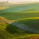 South Downs West Sussex. Photography Workshops Slawek Staszczuk.