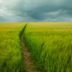 Sussex Landscape Photography Workshops South Downs. Freelance Photographer Brighton.