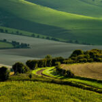 Landscape Photography Workshops South Downs Sussex. Freelance Photographer Brighton.