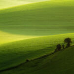 Landscape Photography Workshops South Downs Sussex. Freelance Photographer Brighton.