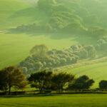 Landscape's in your mind's eye. South Downs.