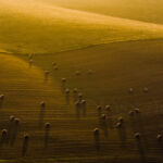 Landscape Photography Workshops South Downs Sussex. Freelance Photographer Brighton.