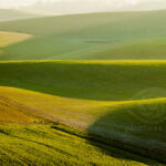 Winter morning on South Downs in Sussex. Landscape Photography Slawek Staszczuk