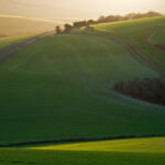 Landscape Photography Sussex. Freelance Photographer Brighton.