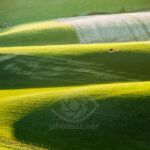 Winter morning on the South Downs.