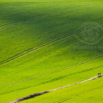 Landscape photography workshop South Downs, Sussex.
