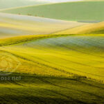 Landscape Photographer in Sussex.